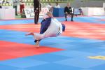 JudoVeteranenEM_0337.JPG