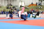 JudoVeteranenEM_0694.JPG