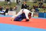 JudoVeteranenEM_0665.JPG