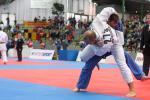 JudoVeteranenEM_1039.JPG