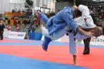 JudoVeteranenEM_1042.JPG