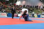 JudoVeteranenEM_1321.JPG