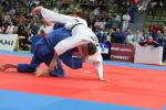 JudoVeteranenEM_1652.JPG