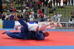 JudoVeteranenEM_1763.JPG